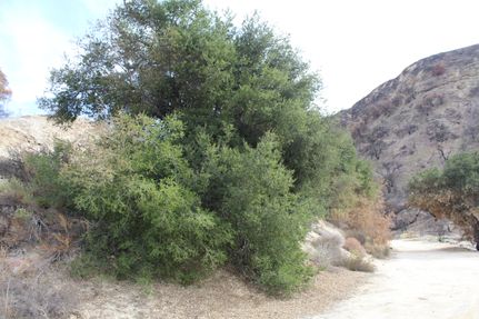 Farm and Ranch for sale in Los Angeles County, California