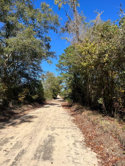 Land for sale in Kershaw County, South Carolina