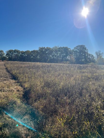 Farm and Ranch for sale in Kershaw County, South Carolina