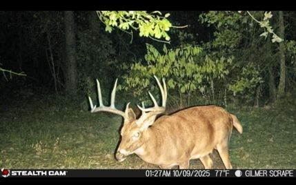 Timberland Property for sale in Upshur County, Texas