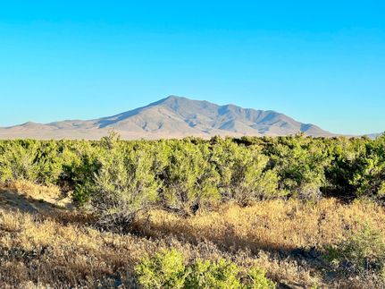 Undeveloped Land for sale in Humboldt County, Nevada