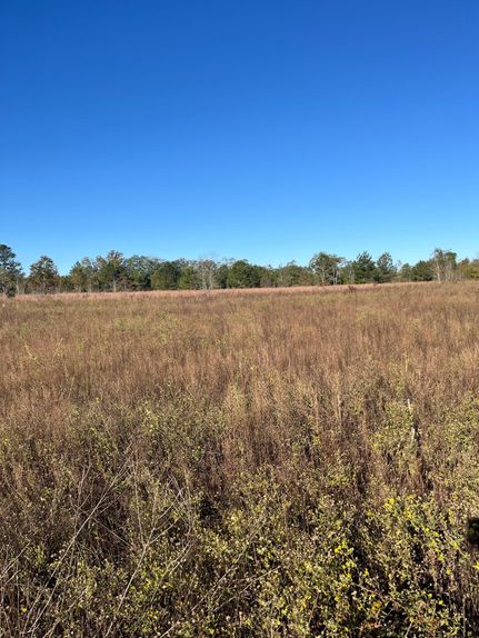 Land for sale in Kershaw County, South Carolina