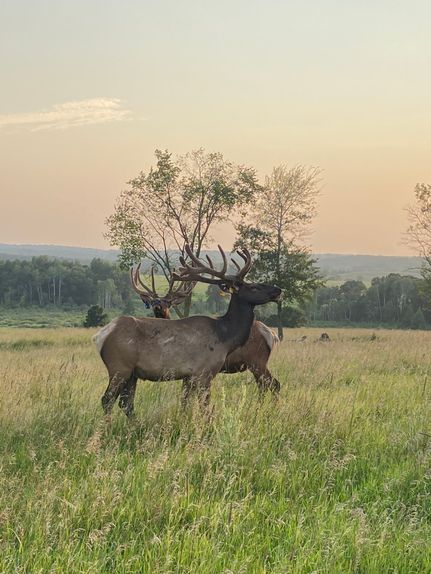 Farm and Ranch for sale in  , Minnesota