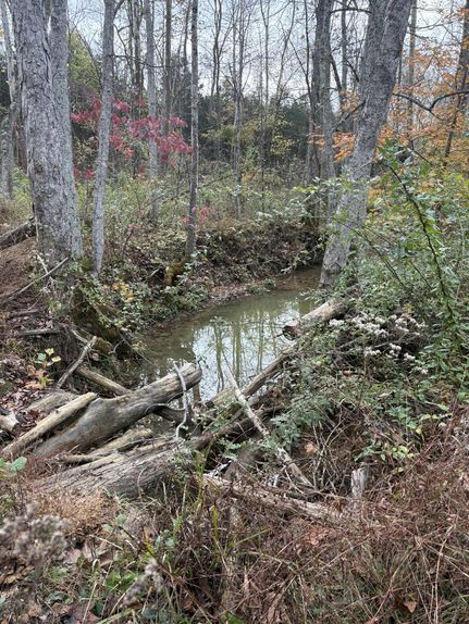 Farm and Ranch for sale in Lewis County, Kentucky