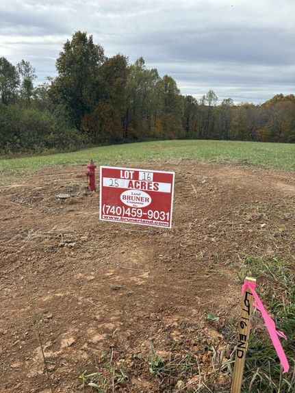Land for sale in Lewis County, Kentucky