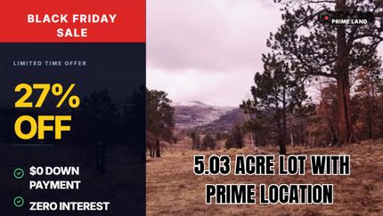 Undeveloped Land for sale in Costilla County, Colorado