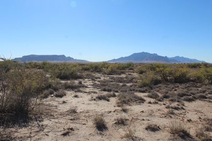 Undeveloped Land for sale in Luna County, New Mexico