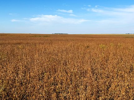 Land for sale in Stutsman County, North Dakota