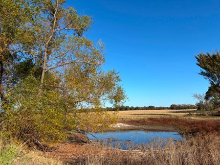 Land for sale in Van Zandt County, Texas