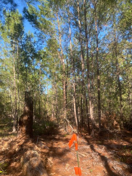 Recreational Property for sale in Putnam County, Florida