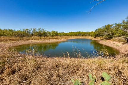 Undeveloped Land for sale in Taylor County, Texas