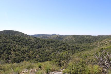 Timberland Property for sale in Uvalde County, Texas