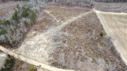 Land for sale in Twiggs County, Georgia