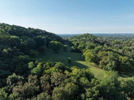 Undeveloped Land for sale in Williamson County, Tennessee