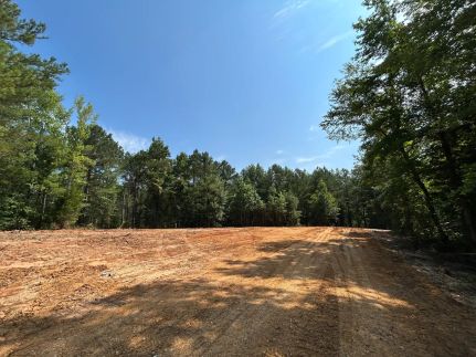 Land for sale in Tishomingo County, Mississippi
