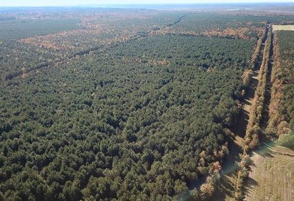 Timberland Property for sale in Currituck County, North Carolina