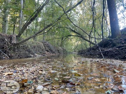 Recreational Property for sale in Copiah County, Mississippi