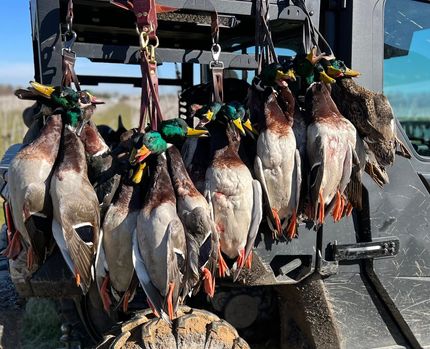 Hunting Property for sale in Concordia Parish, Louisiana