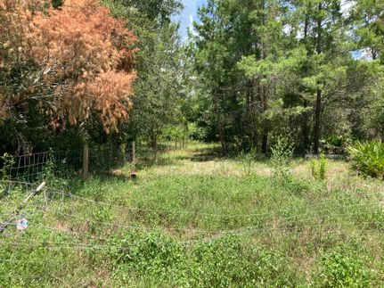 Undeveloped Land for sale in Volusia County, Florida