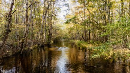Farm and Ranch for sale in Clarendon County, South Carolina