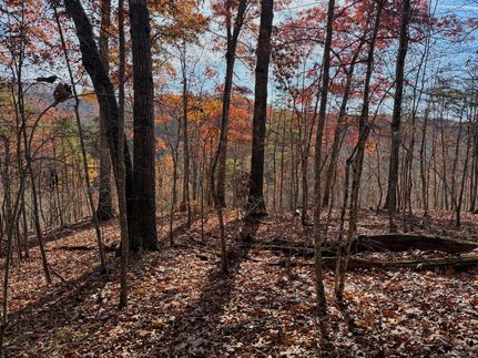 Land for sale in Lawrence County, Kentucky