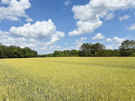 Land for sale in Horry County, South Carolina