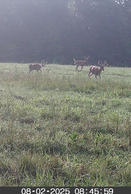 Farm and Ranch in Lincoln County, Wisconsin