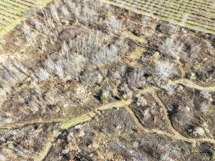 Land for sale in Van Buren County, Michigan