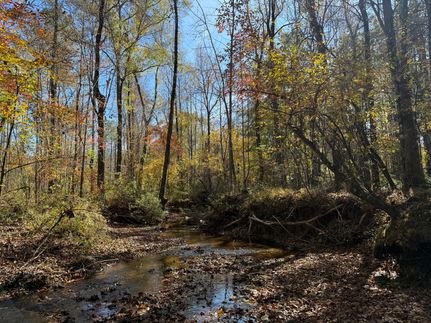 Timberland Property for sale in Lee County, Alabama