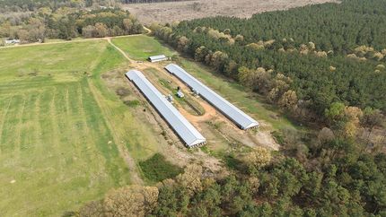 Farm and Ranch for sale in Little River County, Arkansas
