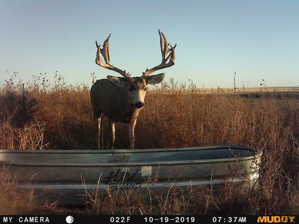 Farm and Ranch for sale in Baca County, Colorado