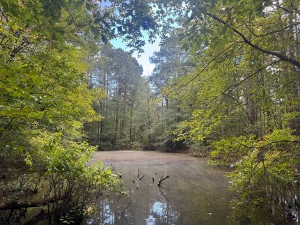 Farm and Ranch for sale in Hot Spring County, Arkansas