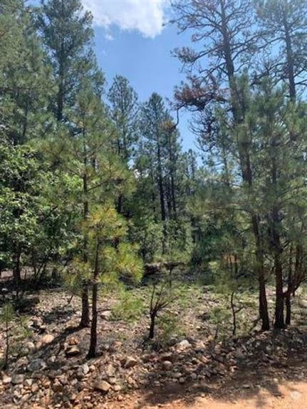 Land for sale in Mora County, New Mexico