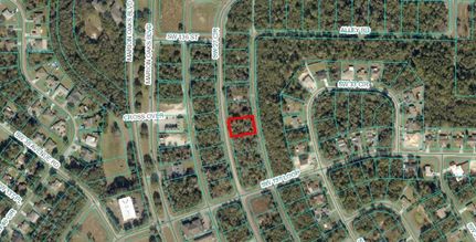 Undeveloped Land for sale in Marion County, Florida