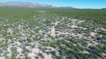 Recreational Property for sale in Cochise County, Arizona