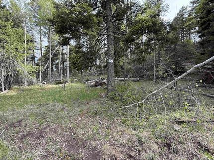 Undeveloped Land for sale in Colfax County, New Mexico