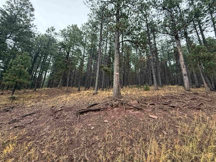 Land for sale in Colfax County, New Mexico