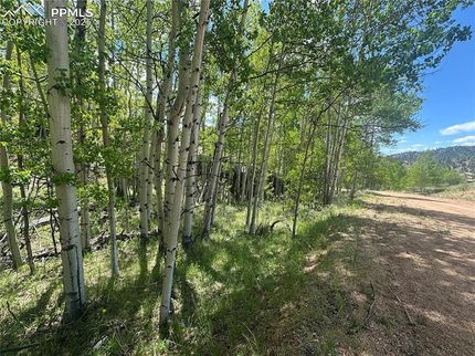 Undeveloped Land for sale in Teller County, Colorado