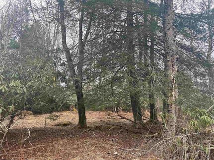 Waterfront Property for sale in Tucker County, West Virginia