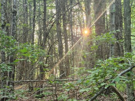 Undeveloped Land for sale in Schoharie County, New York