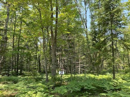 Hunting Property for sale in Chippewa County, Michigan