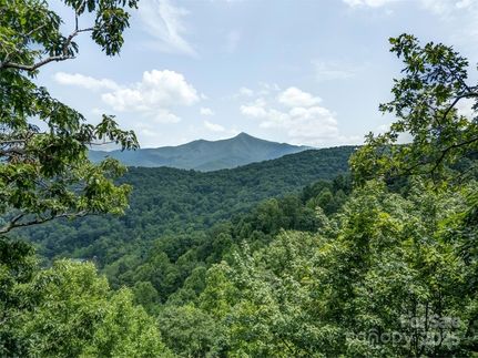 Farm and Ranch for sale in Buncombe County, North Carolina