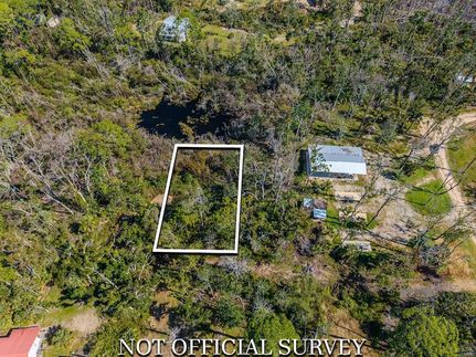 Land for sale in Taylor County, Florida