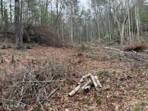 Land for sale in Sevier County, Tennessee