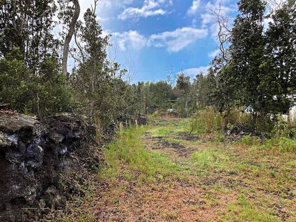 Undeveloped Land for sale in Hawaii County, Hawaii