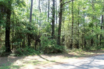Land for sale in Sabine County, Texas