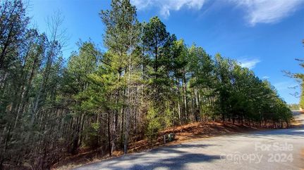 Undeveloped Land for sale in Polk County, North Carolina