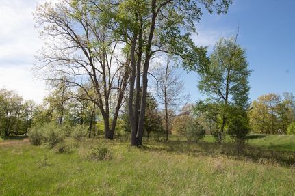 Undeveloped Land for sale in Mecosta County, Michigan