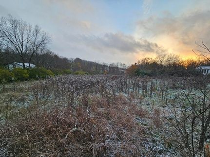 Recreational Property for sale in Boyle County, Kentucky