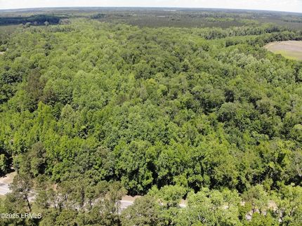 Farm and Ranch for sale in Allendale County, South Carolina